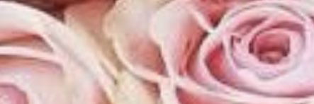 SoMayahAbdullah's profile banner image