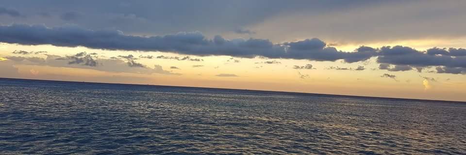 fdyisus_'s profile banner image