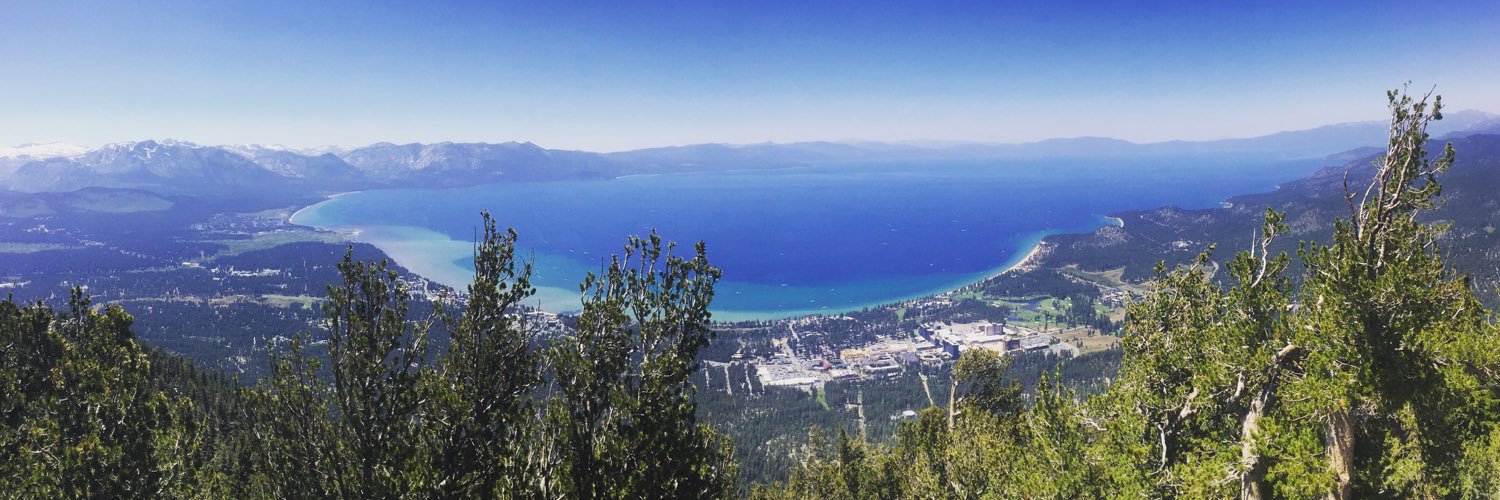 Aimee Schultz banner