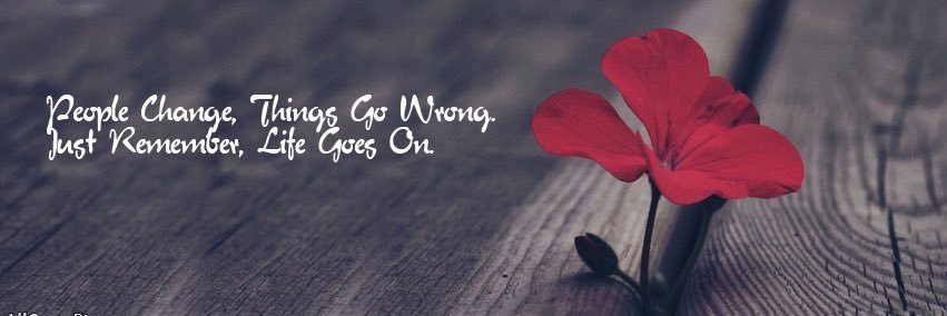 Stacy_Howell's profile banner image