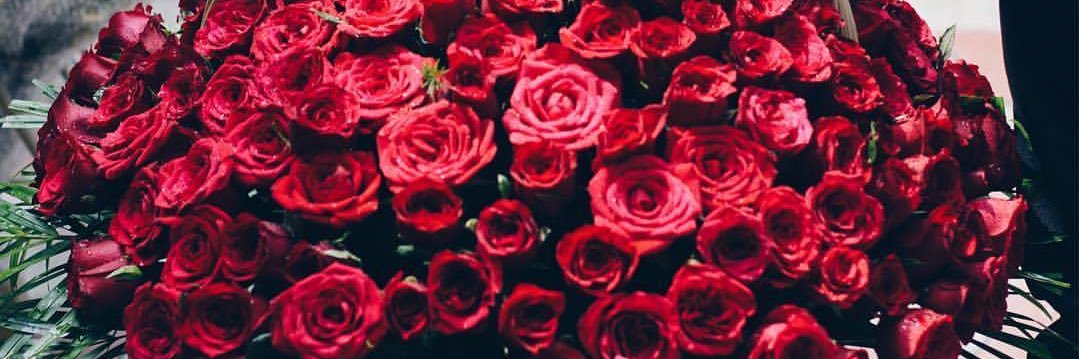 Hanoo929's profile banner image