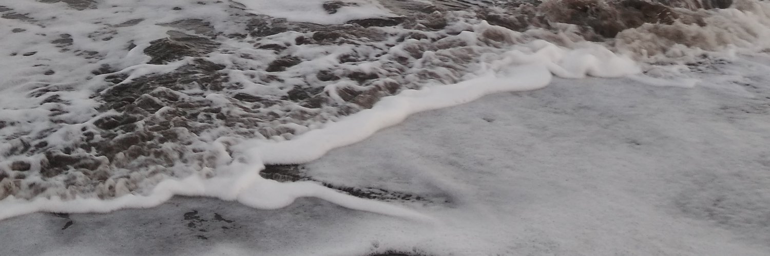 GiuliQuintana's profile banner image