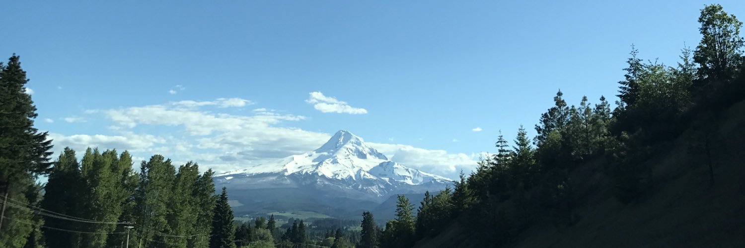 LyssaSchroeder's profile banner image