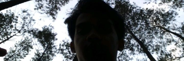 sarip banner