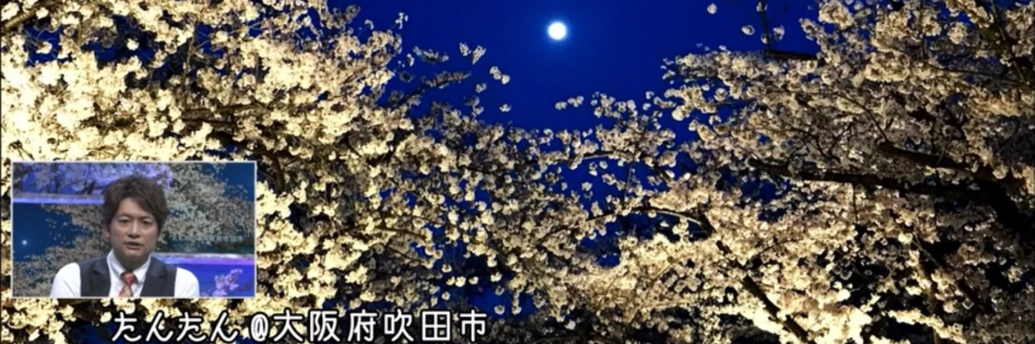 yasma5's profile banner image