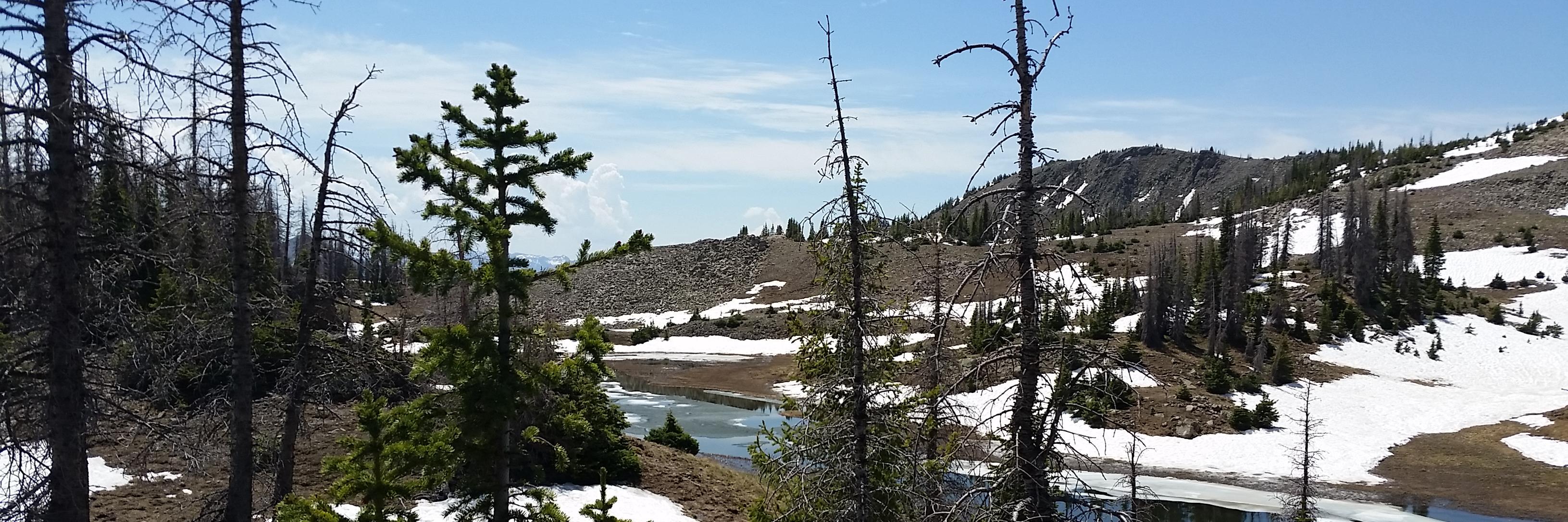 VOWilderness's profile banner image