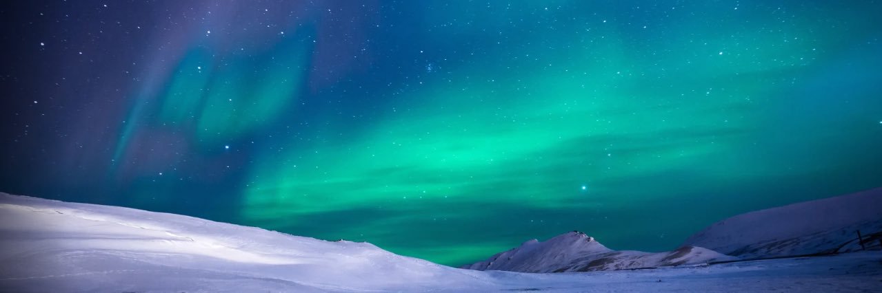 IamJustFlyy's profile banner image