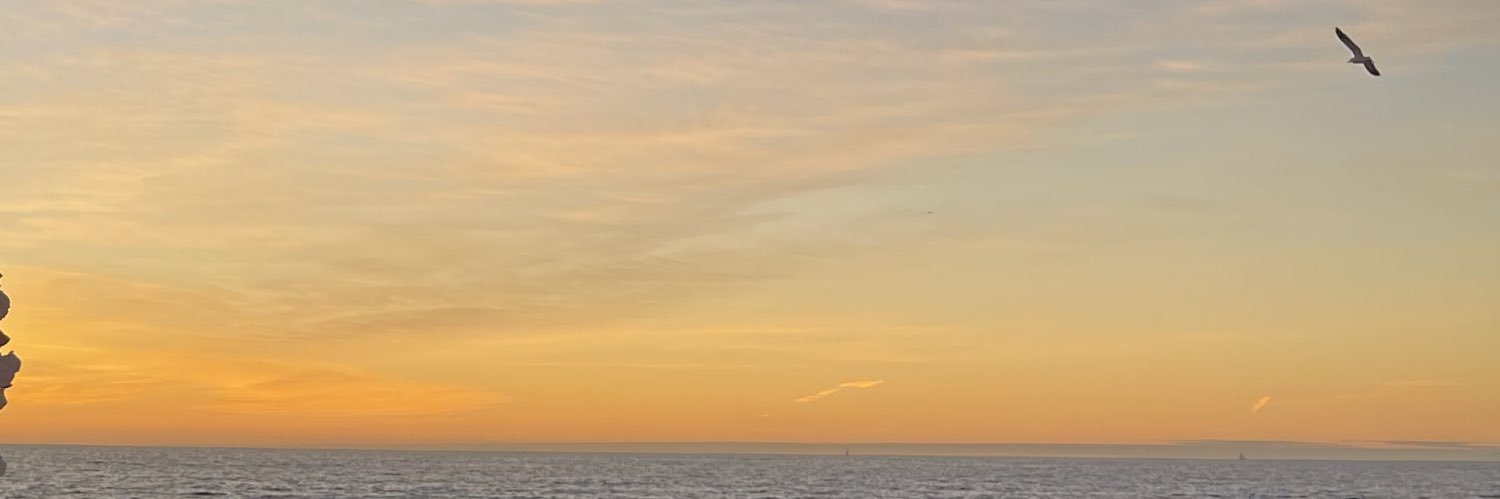 _celestl's profile banner image