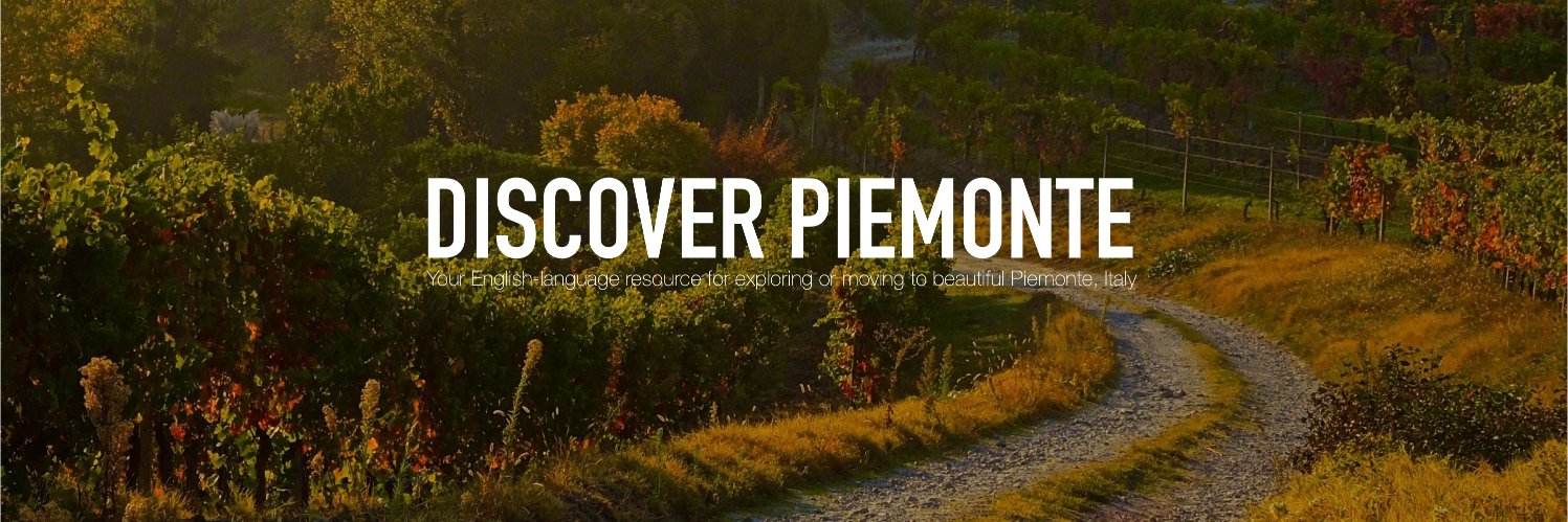 Disc_Piemonte's profile banner image
