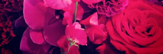 monicayvette_2's profile banner image