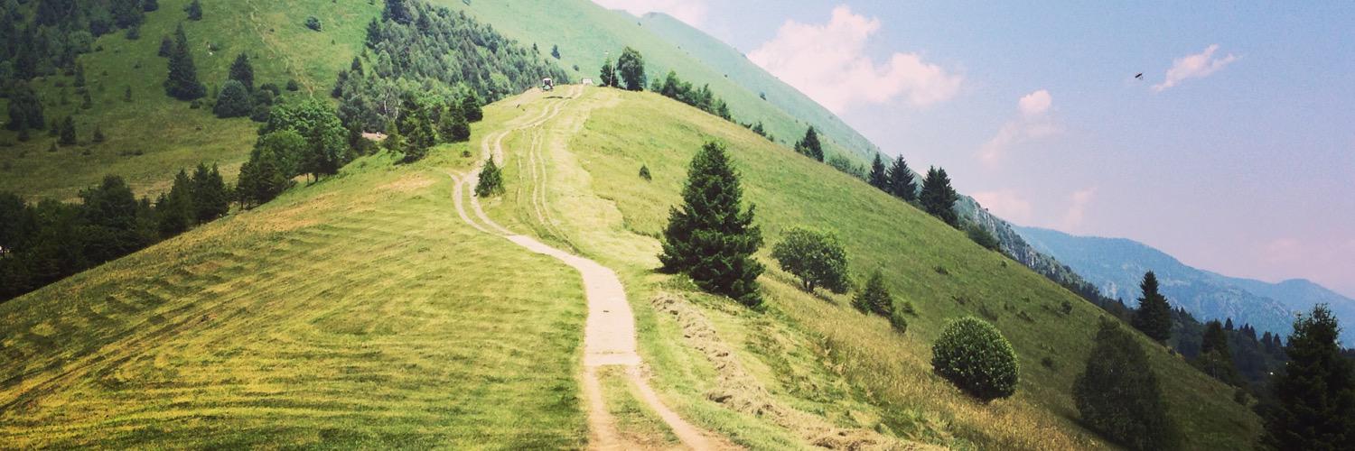 lflauraferrari's profile banner image