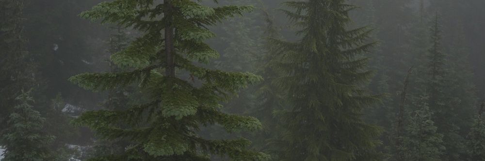 bunkletons's profile banner image