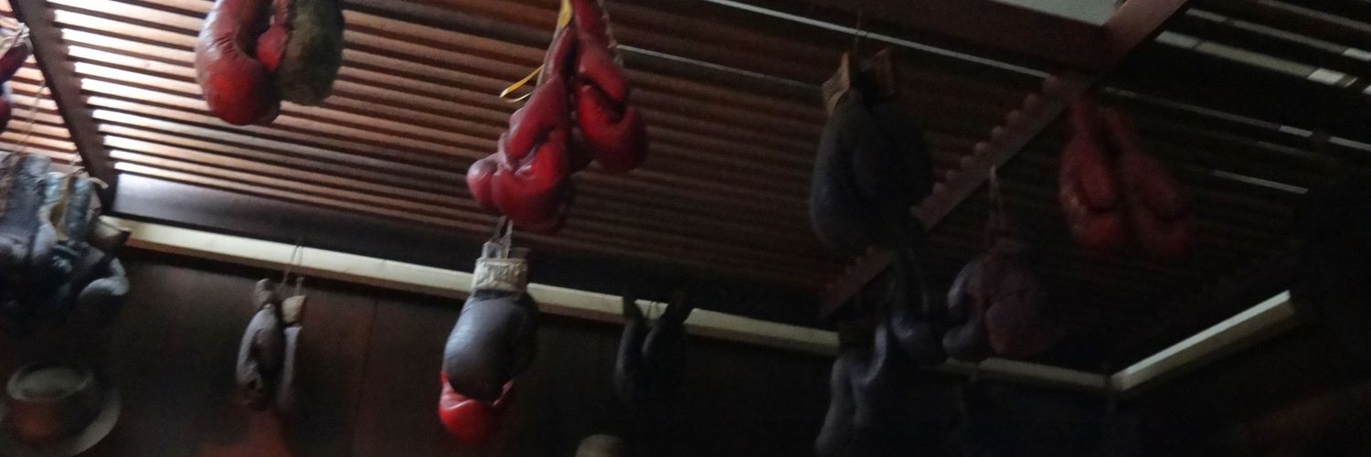 MM28 banner