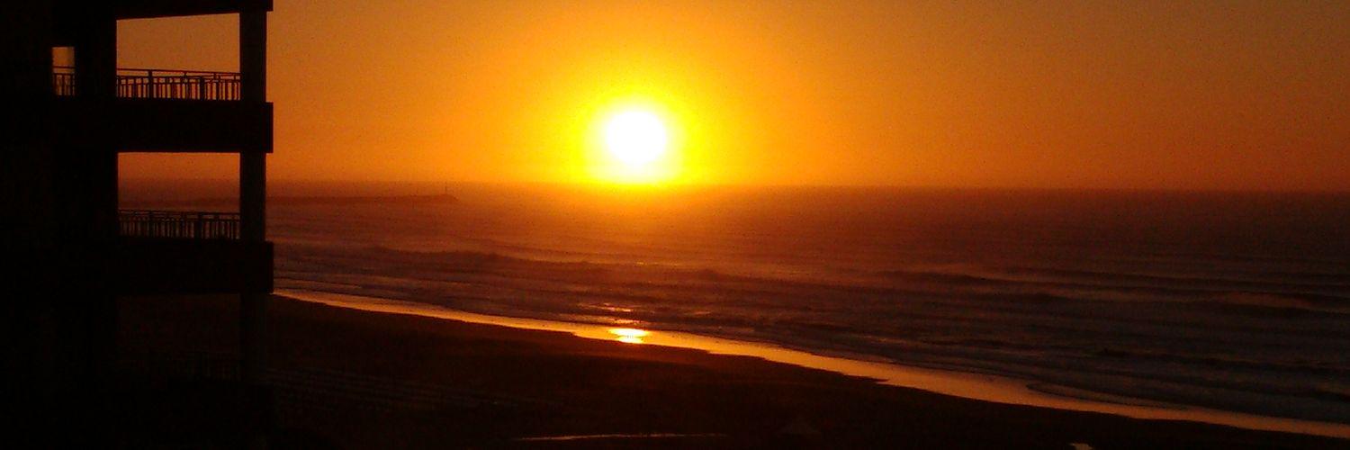 MirandeCarlos's profile banner image
