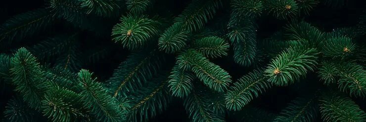 Kit_ono's profile banner image