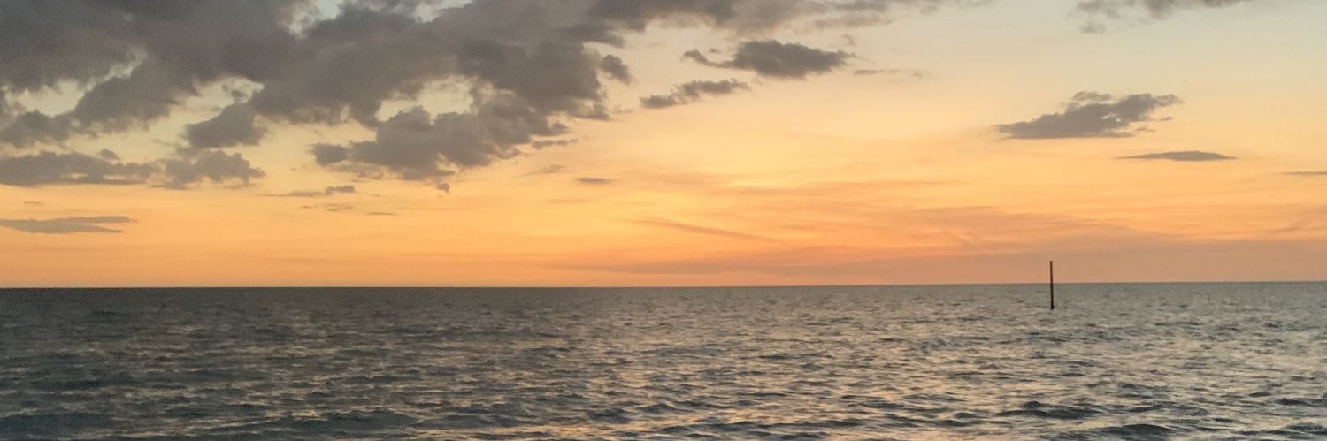 laraceaser's profile banner image