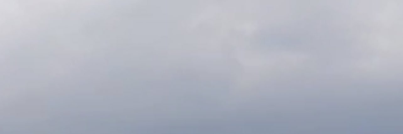 أنثى بيور .. 🌷 banner