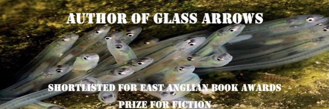 Heather Peck: award winning crime fiction author banner