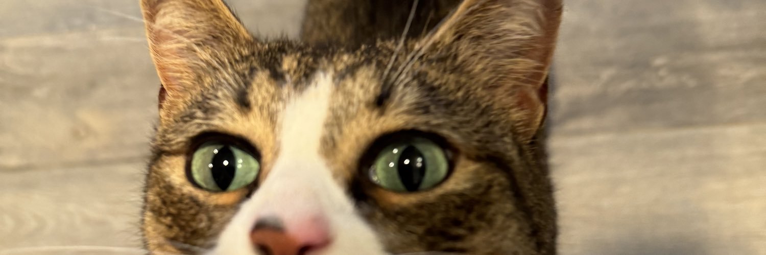 kathleentastic's profile banner image