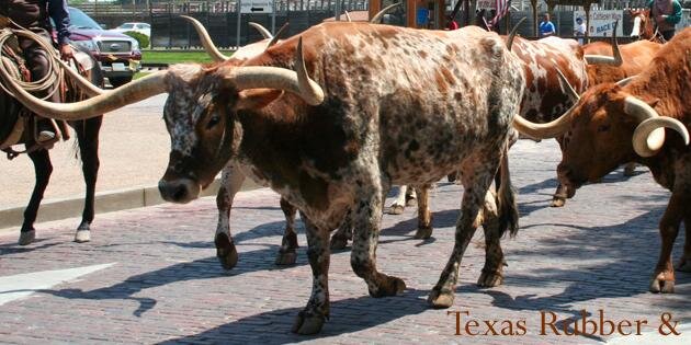 TexasBev's profile banner image
