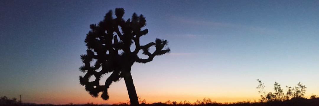 benjilopez's profile banner image