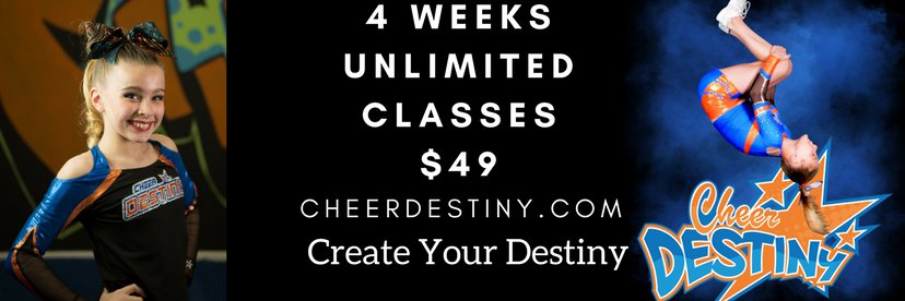 Cheer Destiny Allstars banner