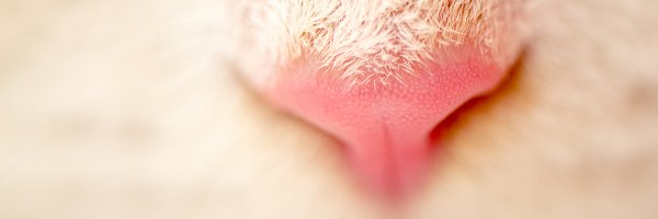 cold0328 Profile Banner