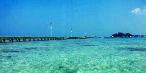 Timi_cute's profile banner image