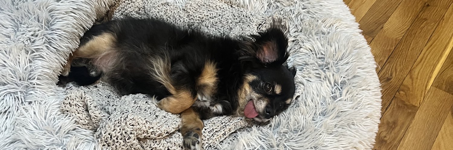 Samantha Putterman banner