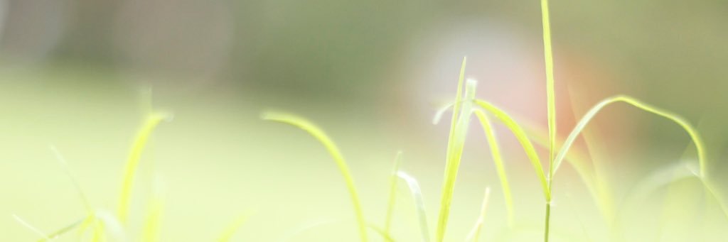 Ysoooseriouss's profile banner image