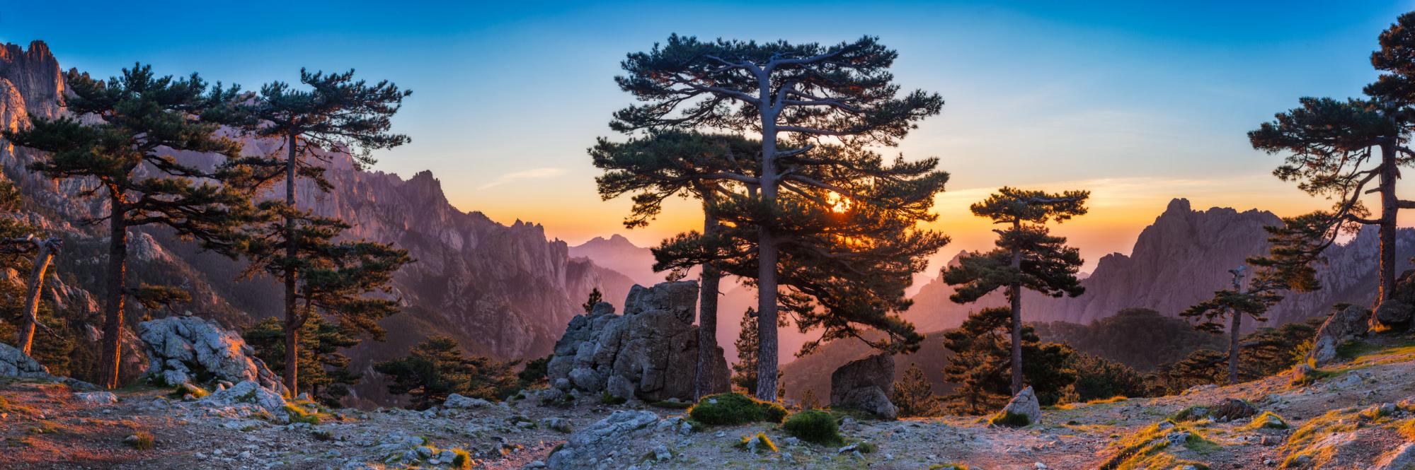 SebguyBONNIER's profile banner image