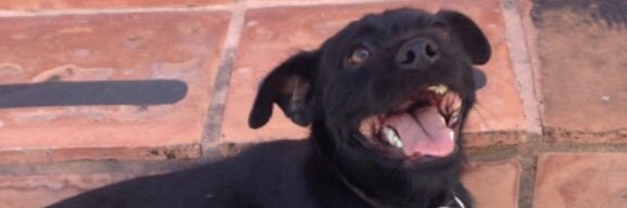 El_ChapulinEc's profile banner image
