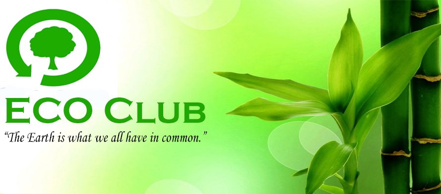 MNJYDV's profile banner image