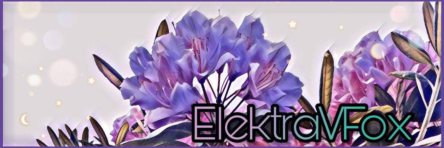 ElektraVFox's profile banner image