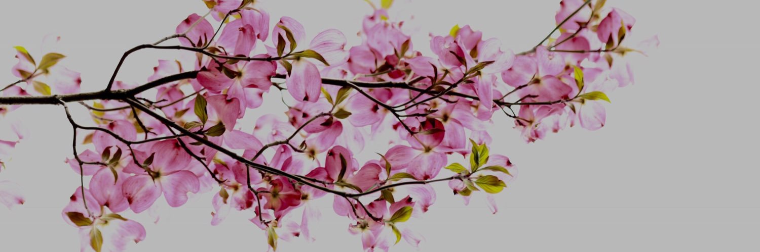 lexiiiiricee's profile banner image