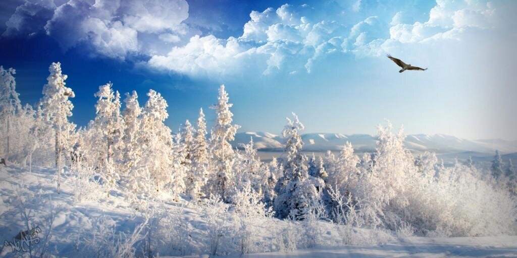 petrukiya's profile banner image