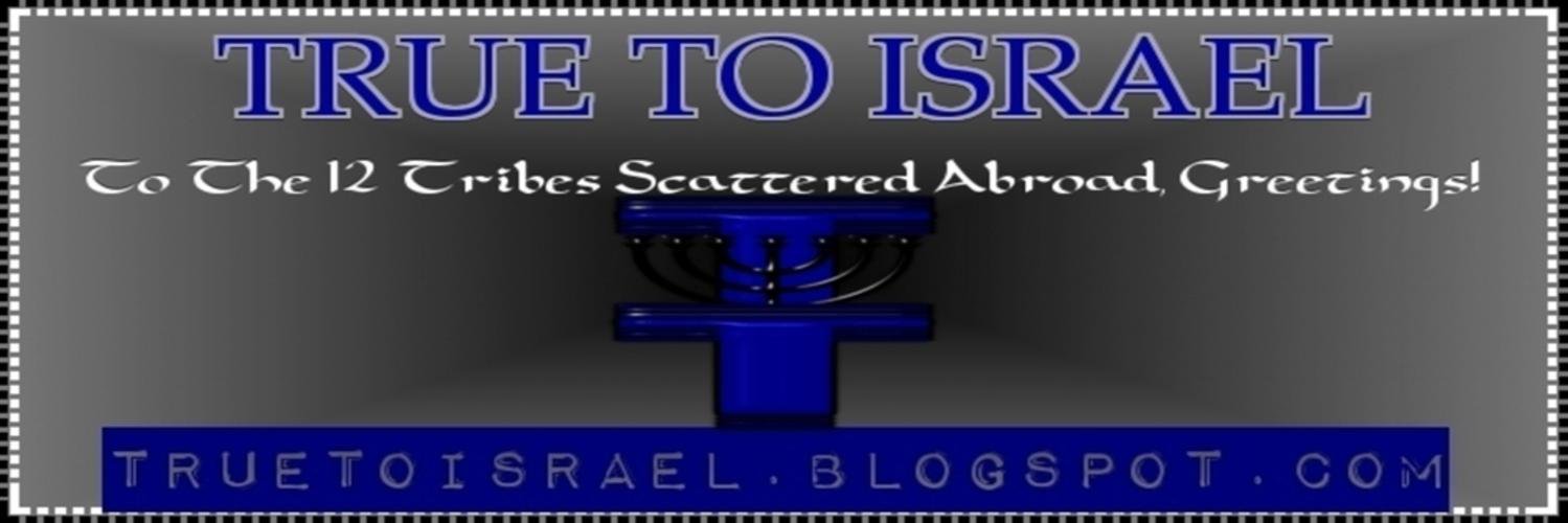 TrueToIsrael's profile banner image