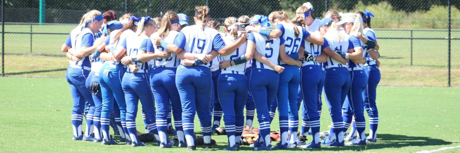 Snead State Softball banner