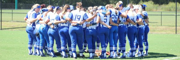 SneadSoftball Profile Banner
