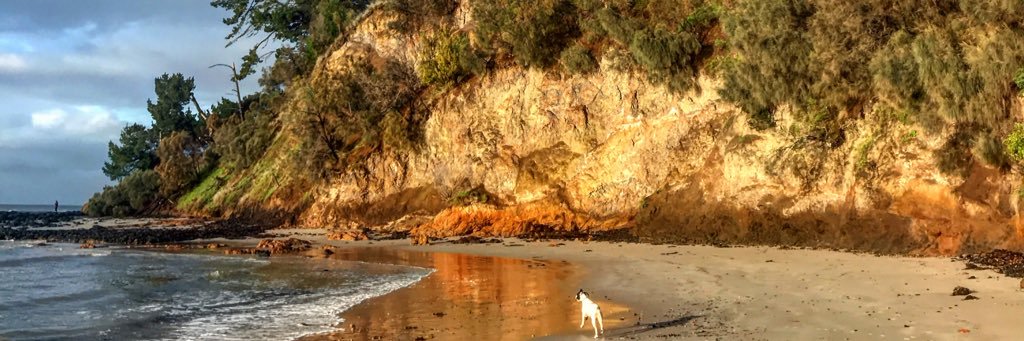 Richard Cornish banner