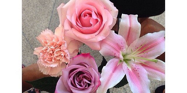 Bronwyn’s Bob banner