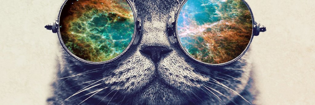 serjimgom's profile banner image