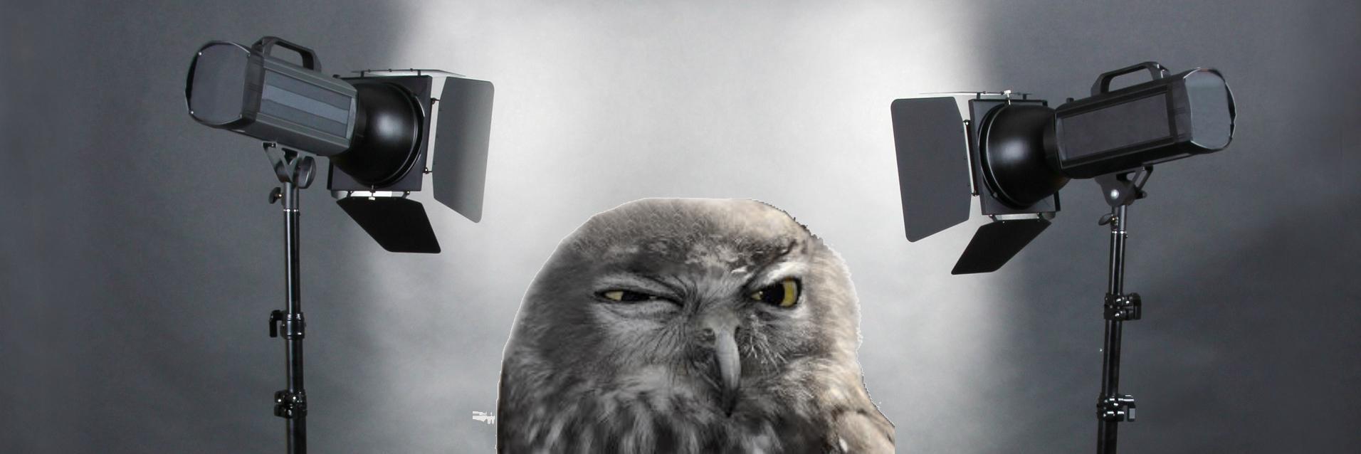 OwlsBeforeVals's profile banner image