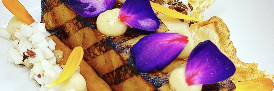 Janice Casey Bracken 🏳️‍🌈 banner