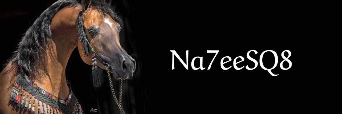 Na7eeSQ8's profile banner image