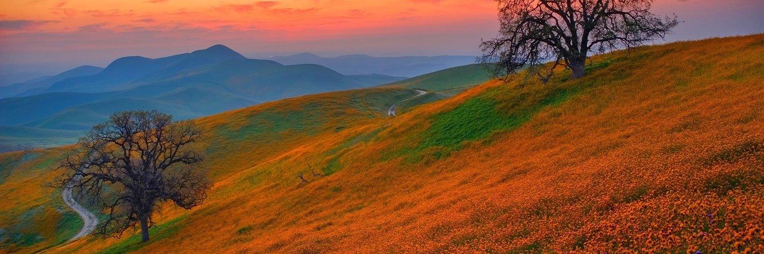 Josh Appelbaum banner