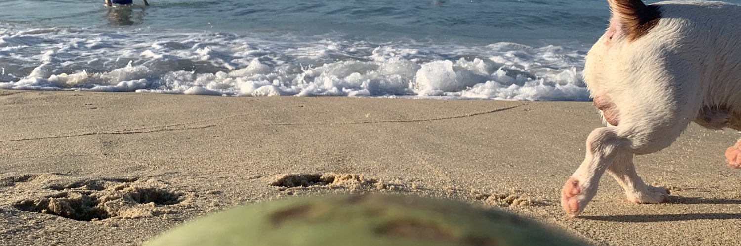 ssmtorres's profile banner image