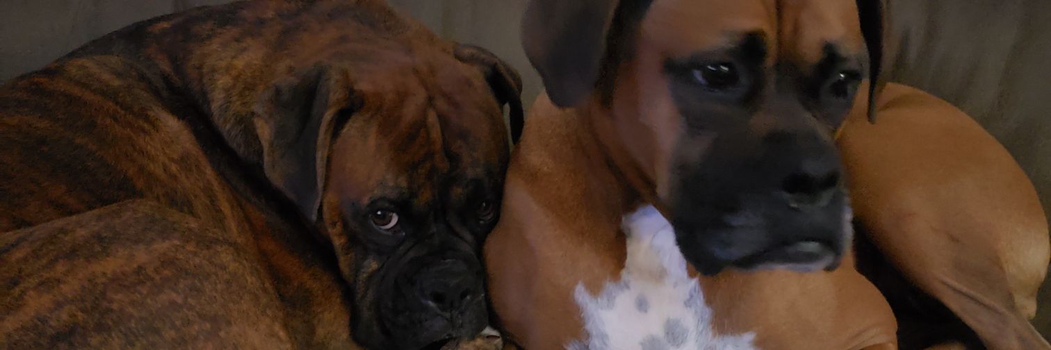 Loriaof's profile banner image