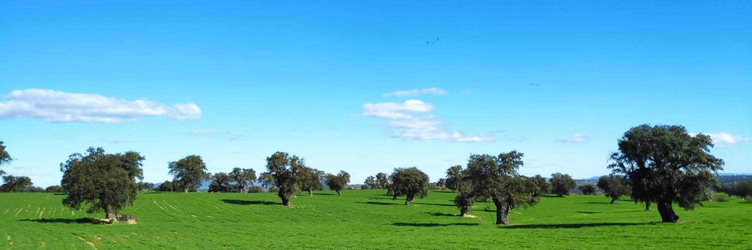 IsaAperador's profile banner image