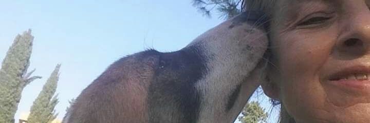 sekercan53's profile banner image
